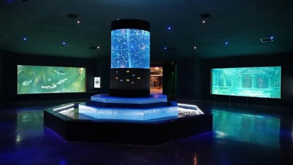 Altınok’tan CHP yönetimine ağır eleştiriler! Bütün hizmetlerimiz bir bir kapatıldı!